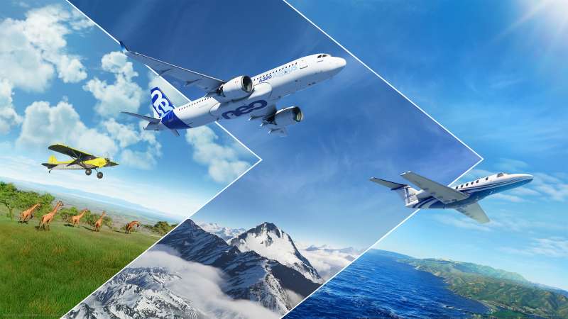 Microsoft Flight Simulator Hintergrundbild
