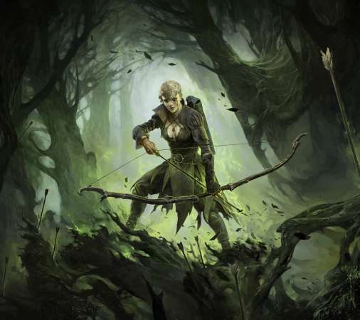 Path of Exile 2 Handy Horizontal Hintergrundbild
