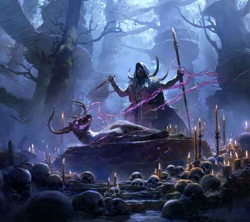 Path of Exile 2 Handy Horizontal Hintergrundbild