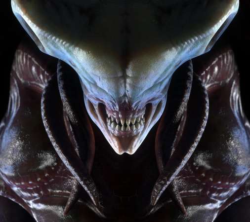 Phoenix Point Handy Horizontal Hintergrundbild