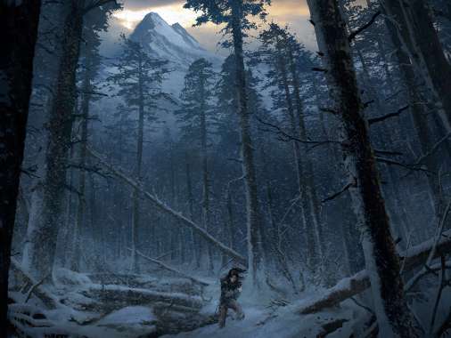 Rise of the Tomb Raider Handy Horizontal Hintergrundbild