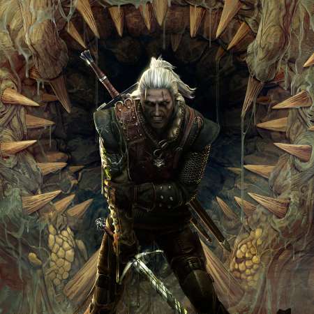The Witcher 2: Assassins of Kings Handy Horizontal Hintergrundbild