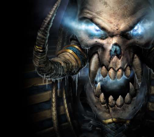 Warcraft 3: Reign of Chaos Handy Horizontal Hintergrundbild