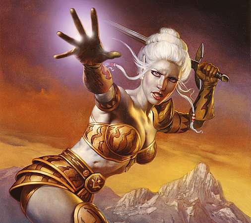 Champions of Norrath: Realms of EverQuest Handy Horizontal Hintergrundbild