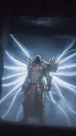 Diablo 2: Resurrected Handy Vertikal Hintergrundbild