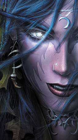 Warcraft 3: Reign of Chaos Handy Vertikal Hintergrundbild