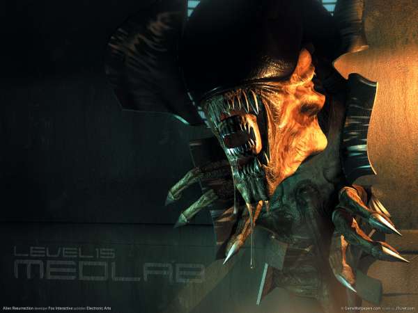 Alien Resurrection wallpaper or background