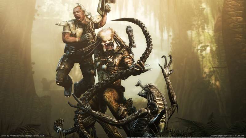 Aliens vs. Predator Hintergrundbild