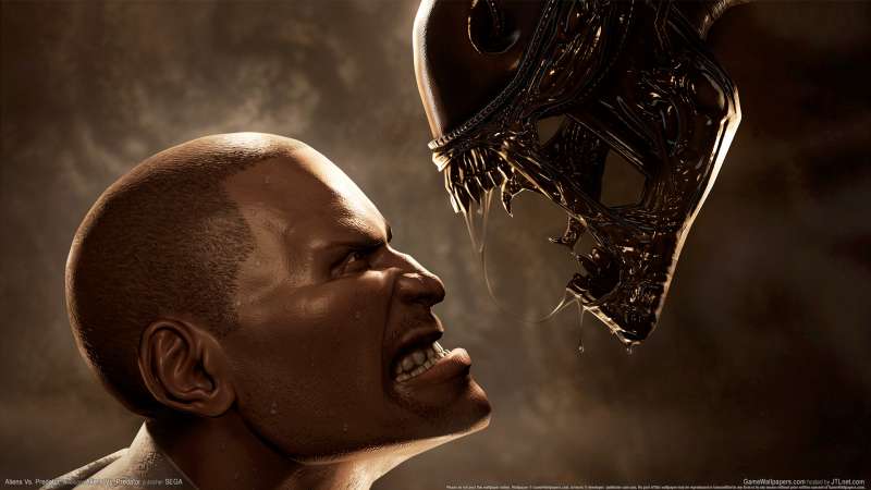 Aliens Vs. Predator wallpaper or background