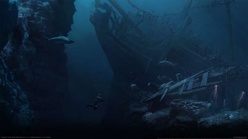 Assassin's Creed: Black Flag Resynced Hintergrundbild