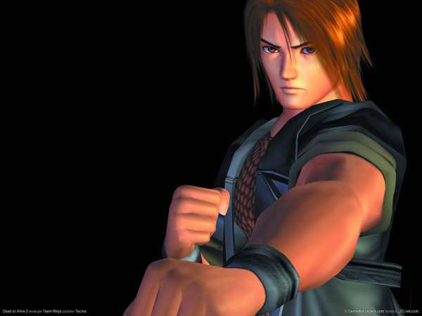 Dead or Alive 2 wallpaper or background