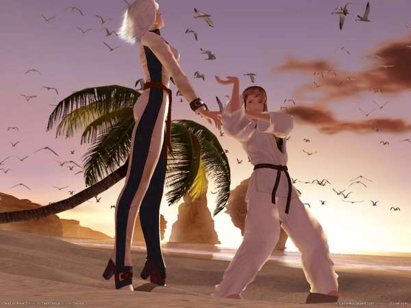 Dead or Alive 3 Hintergrundbild