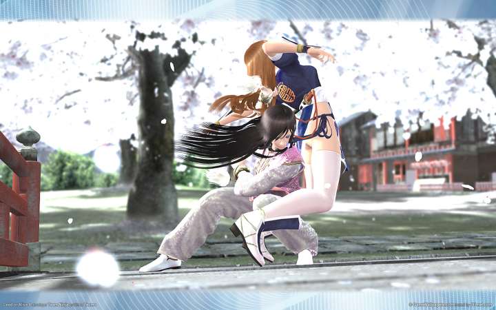 Dead or Alive 4 wallpaper or background