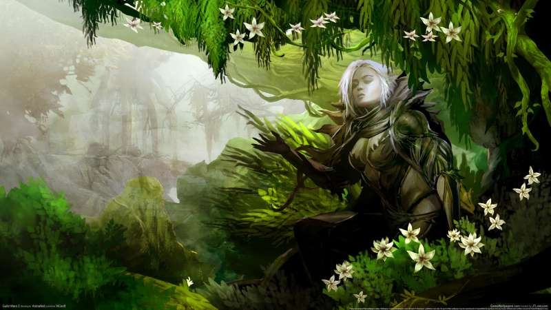 Guild Wars 2 Hintergrundbild