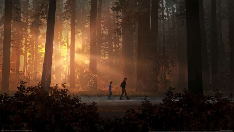 Life is Strange 2 wallpaper or background