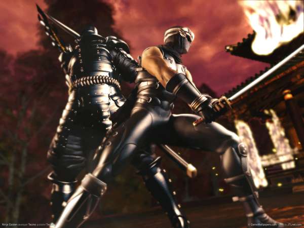 Ninja Gaiden Hintergrundbild