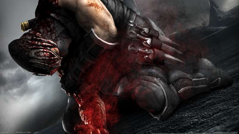 Ninja Gaiden 3 Hintergrundbild