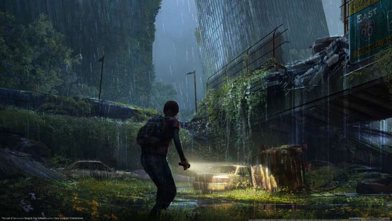 The Last of Us Hintergrundbild