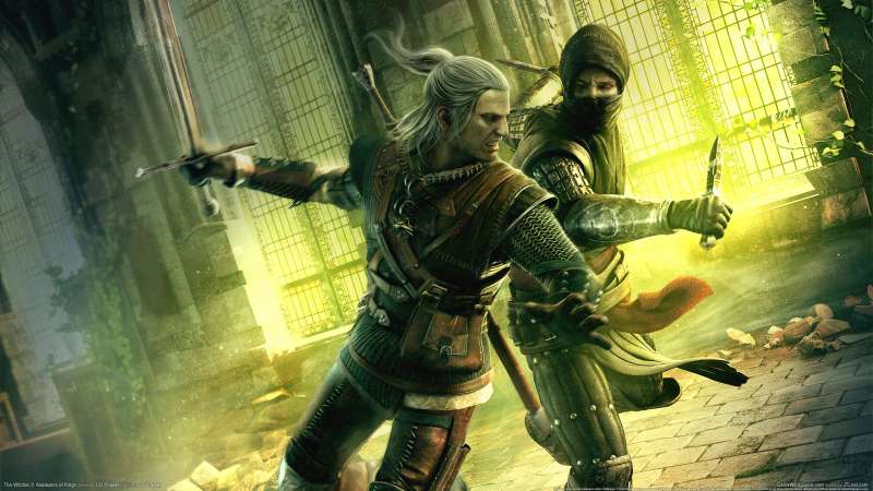 The Witcher 2: Assassins of Kings Hintergrundbild