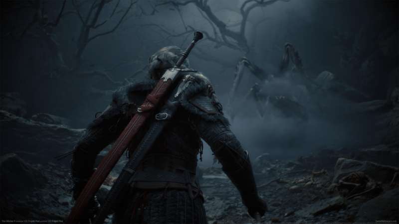 The Witcher 4 Hintergrundbild