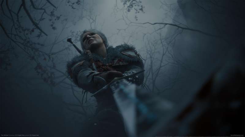 The Witcher 4 Hintergrundbild