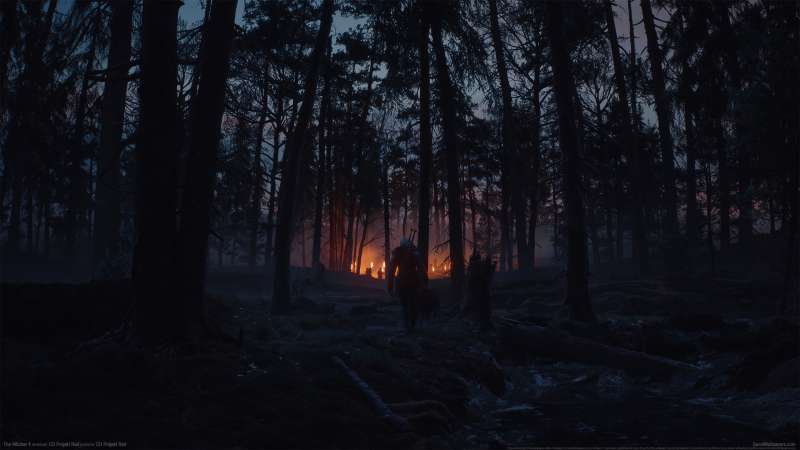 The Witcher 4 Hintergrundbild