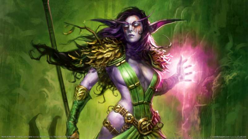 World of Warcraft: Trading Card Game Hintergrundbild