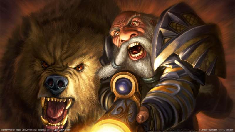 World of Warcraft: Trading Card Game Hintergrundbild