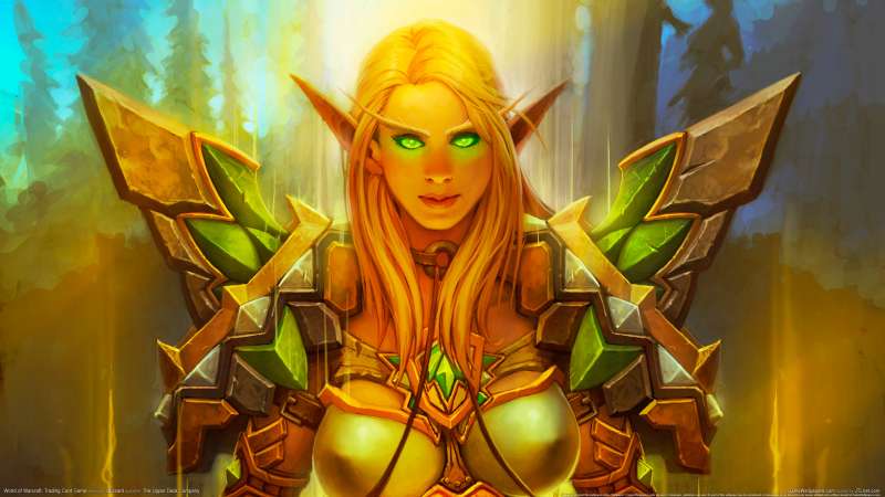 World of Warcraft: Trading Card Game Hintergrundbild