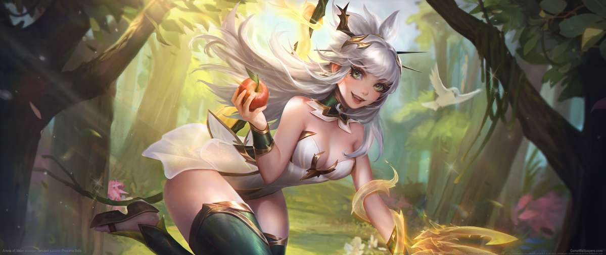 Arena of Valor Hintergrundbild