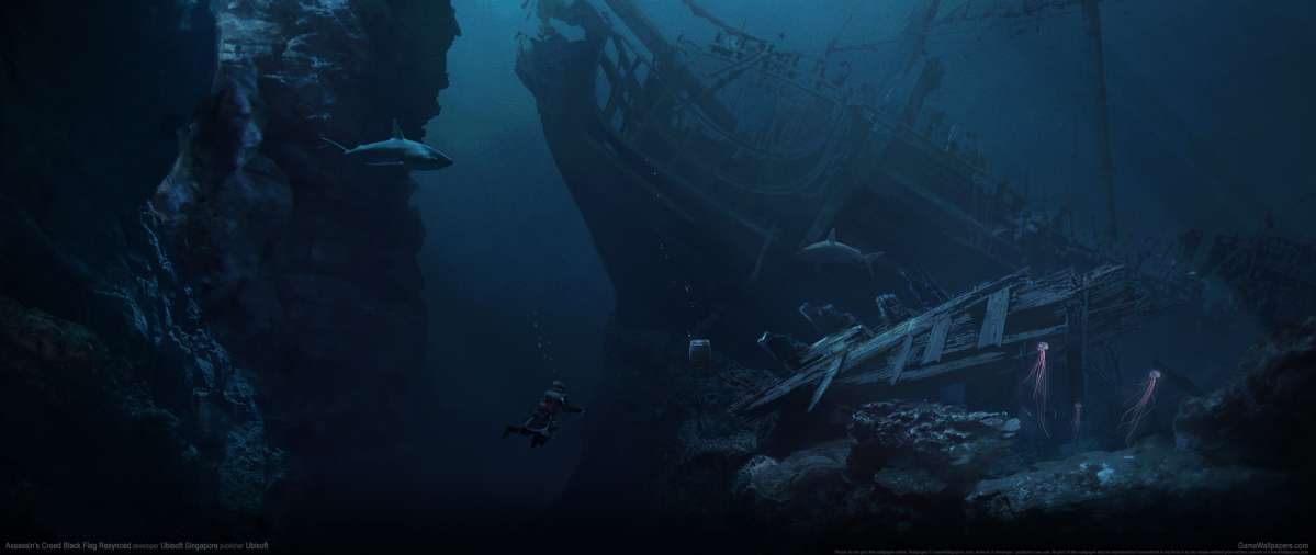 Assassin's Creed: Black Flag Resynced Hintergrundbild