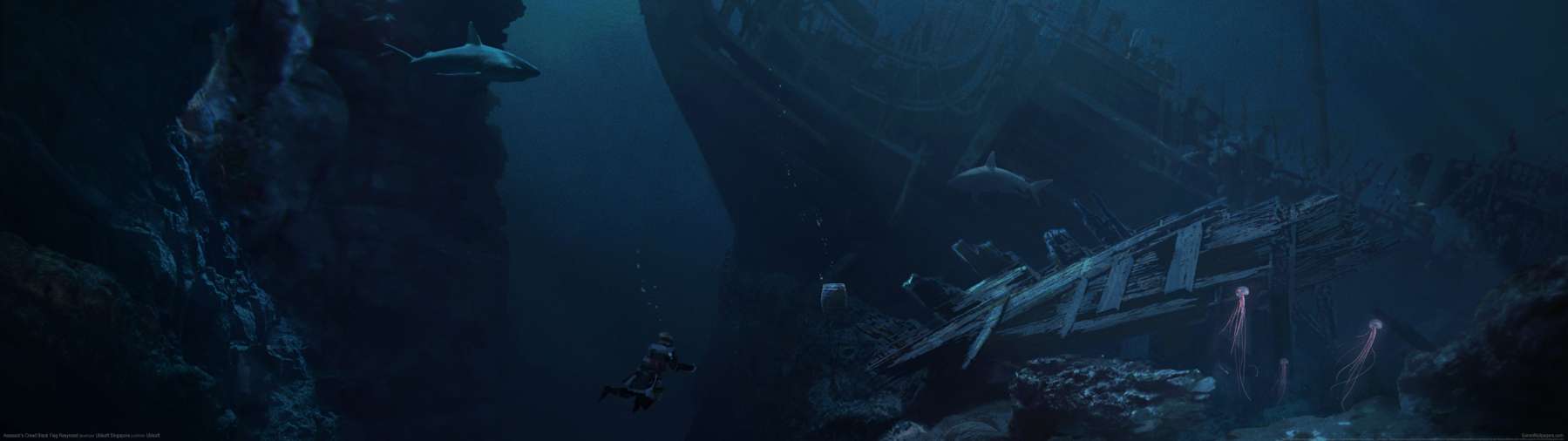 Assassin's Creed: Black Flag Resynced Hintergrundbild
