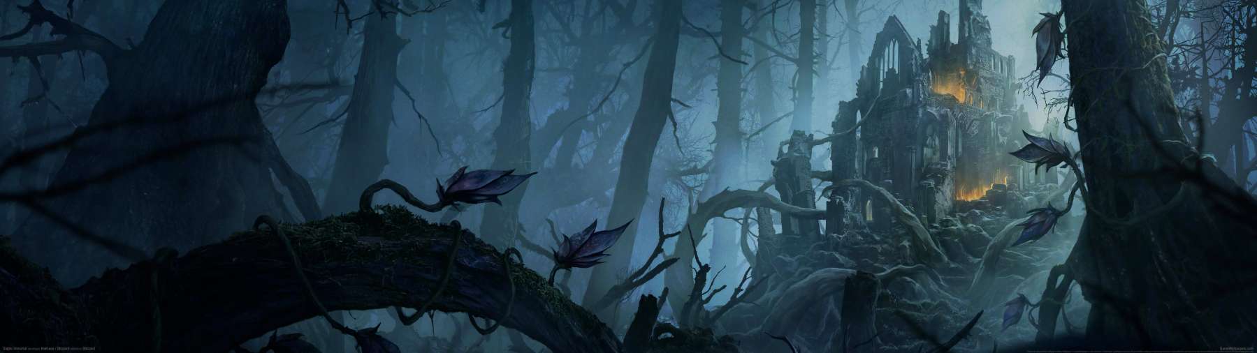 Diablo Immortal Hintergrundbild
