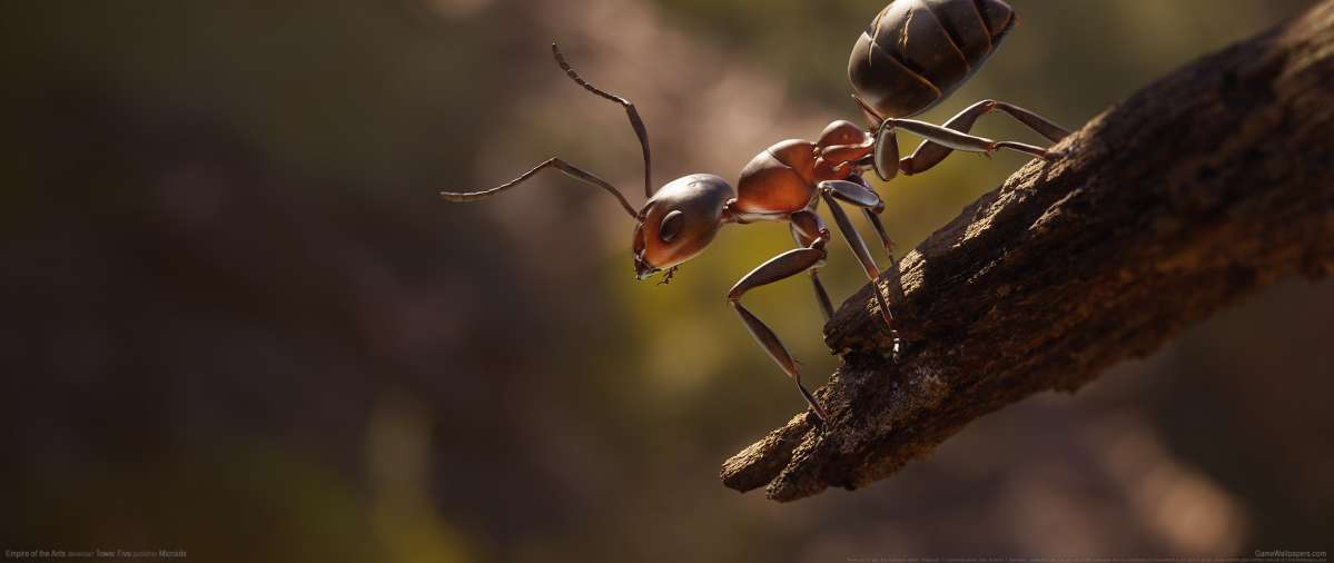 Empire of the Ants Hintergrundbild