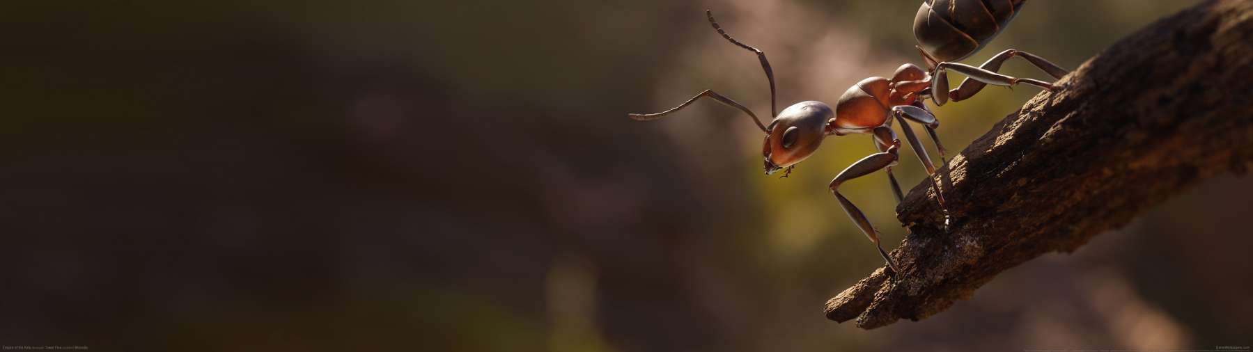 Empire of the Ants Hintergrundbild