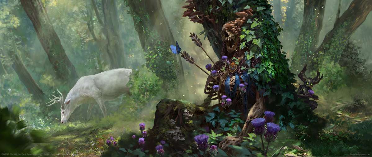 GWENT: The Witcher Card Game ultrawide Hintergrundbild 10