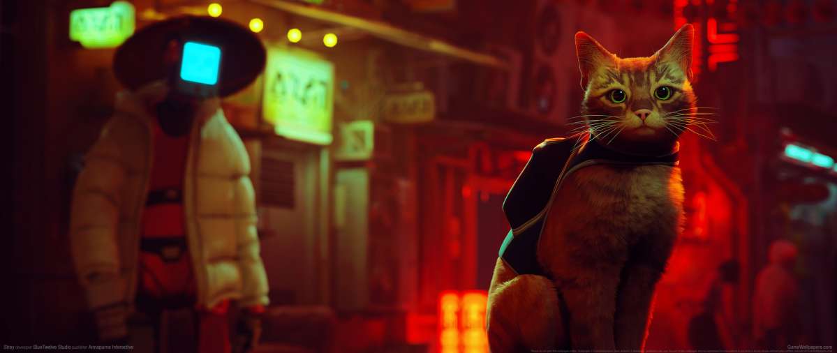 Stray ultrawide Hintergrundbild 01
