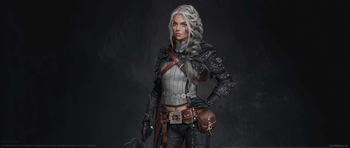 The Witcher 3 fan art Hintergrundbild