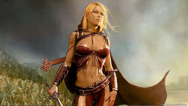 Legends of Norrath: Inquisitor Hintergrundbild