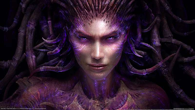 StarCraft 2: Heart of the Swarm Hintergrundbild