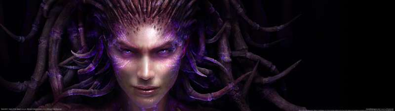 StarCraft 2: Heart of the Swarm dual screen Hintergrundbild