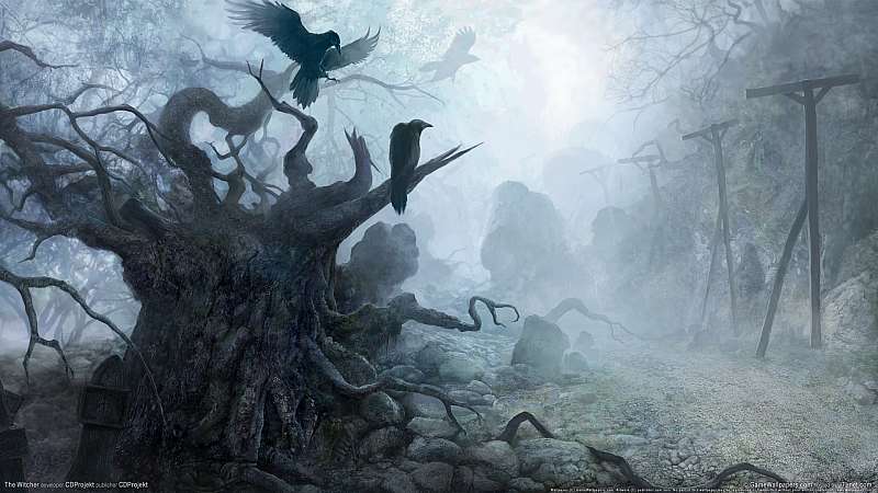 The Witcher Hintergrundbild