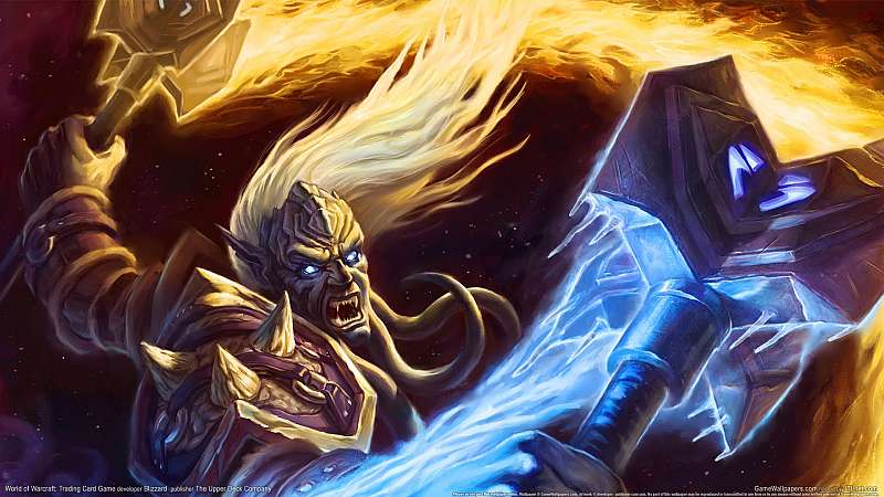 World of Warcraft: Trading Card Game Hintergrundbild